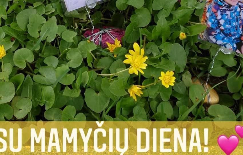 ŠIANDIEN VISOS GĖLĖS IR GRAŽIAUSI ŽODŽIAI JUMS, MIELOS MAMOS!
