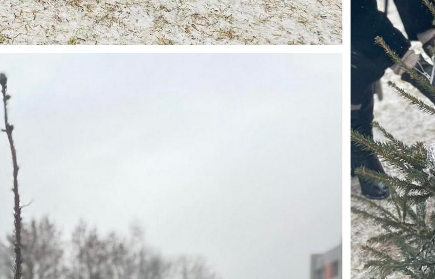 ŠV. KALĖDŲ ŠVENTĖ „ĮŽIEBKIME ŠV. KALĖDAS KARTU“